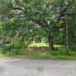 Get Cash Deals **** Fitz Lee St, Waller, TX 77484 ( Subdivision – Waller-College Add )